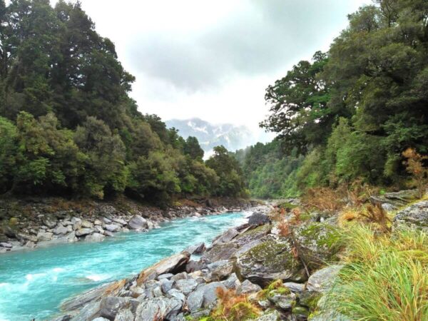 Copland Track in New Zealand