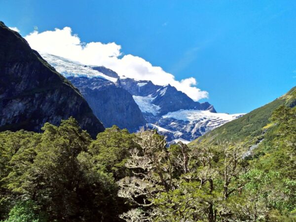 Rob Roy Glacier