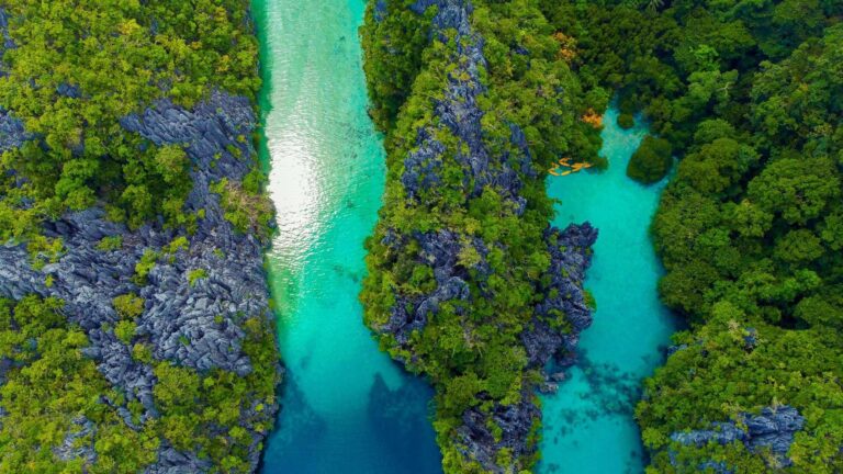 Things to do in Palawan Featured Image